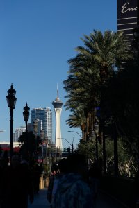 20221225LasVegasChristmas-82.jpg
