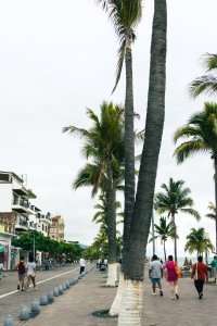 20220616PuertoVallarta-17.jpg