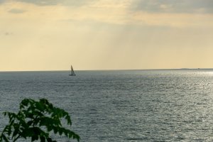 20220617PuertoVallarta-47.jpg