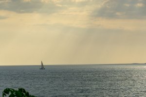 20220617PuertoVallarta-48.jpg