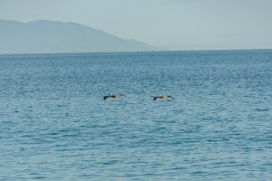 20220620PuertoVallarta-42.jpg
