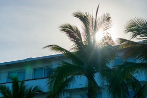 20220620PuertoVallarta-44.jpg