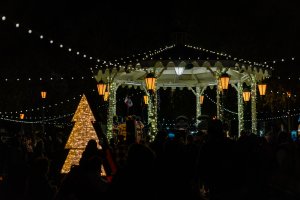 20231201OldTownChristmasTree-8.jpg