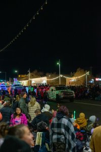 20231202TwinkleLightParade-134.jpg