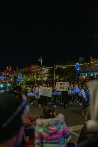 20231202TwinkleLightParade-37.jpg