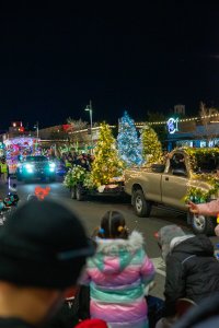 20231202TwinkleLightParade-38.jpg