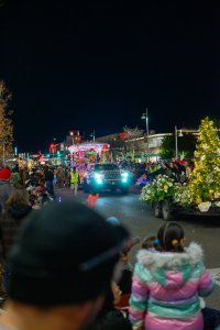 20231202TwinkleLightParade-39.jpg