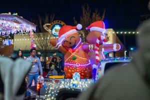 20231202TwinkleLightParade-46.jpg