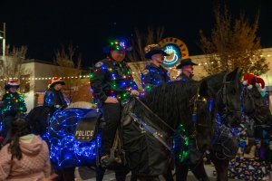 20231202TwinkleLightParade-60.jpg