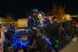 20231202TwinkleLightParade-61.jpg