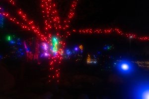 20232118RiverofLights-186.jpg