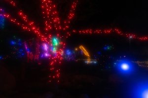 20232118RiverofLights-187.jpg
