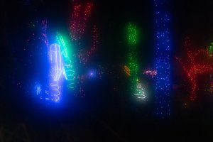 20232118RiverofLights-191.jpg