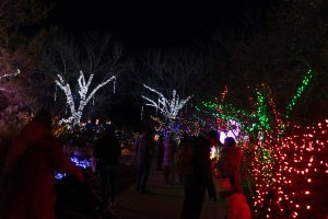 20232118RiverofLights-47.jpg