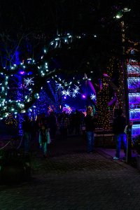 20232118RiverofLights_P-14.jpg