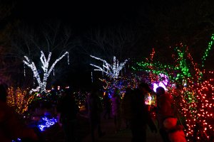 20232118RiverofLights_P-18.jpg