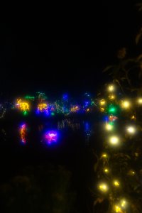 20232118RiverofLights_P-38.jpg