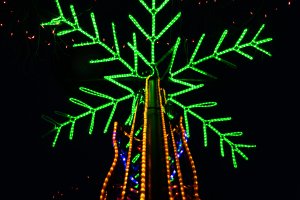 20232118RiverofLights_P-4.jpg