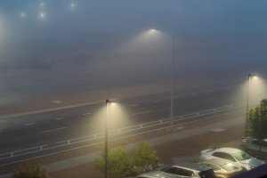 20241105Fog-11.jpg