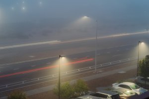 20241105Fog-18.jpg