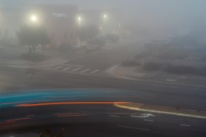 20241105Fog-27.jpg