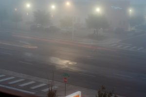 20241105Fog-29.jpg