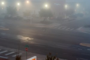 20241105Fog-31.jpg