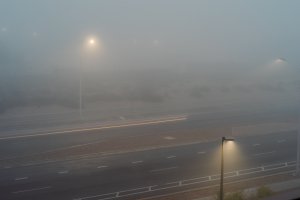 20241105Fog-34.jpg
