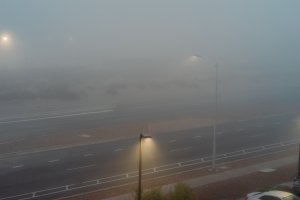 20241105Fog-36.jpg
