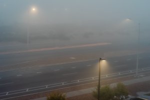 20241105Fog-37.jpg