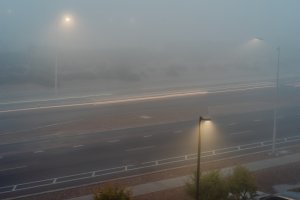 20241105Fog-38.jpg