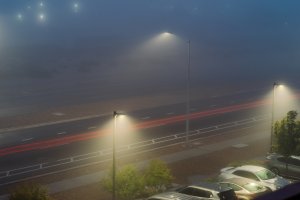 20241105Fog-5.jpg