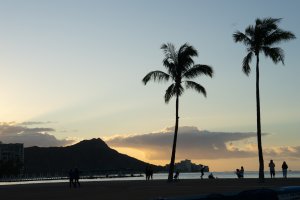 2024Hawaii-70.jpg