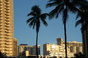 2024Hawaii-97.jpg